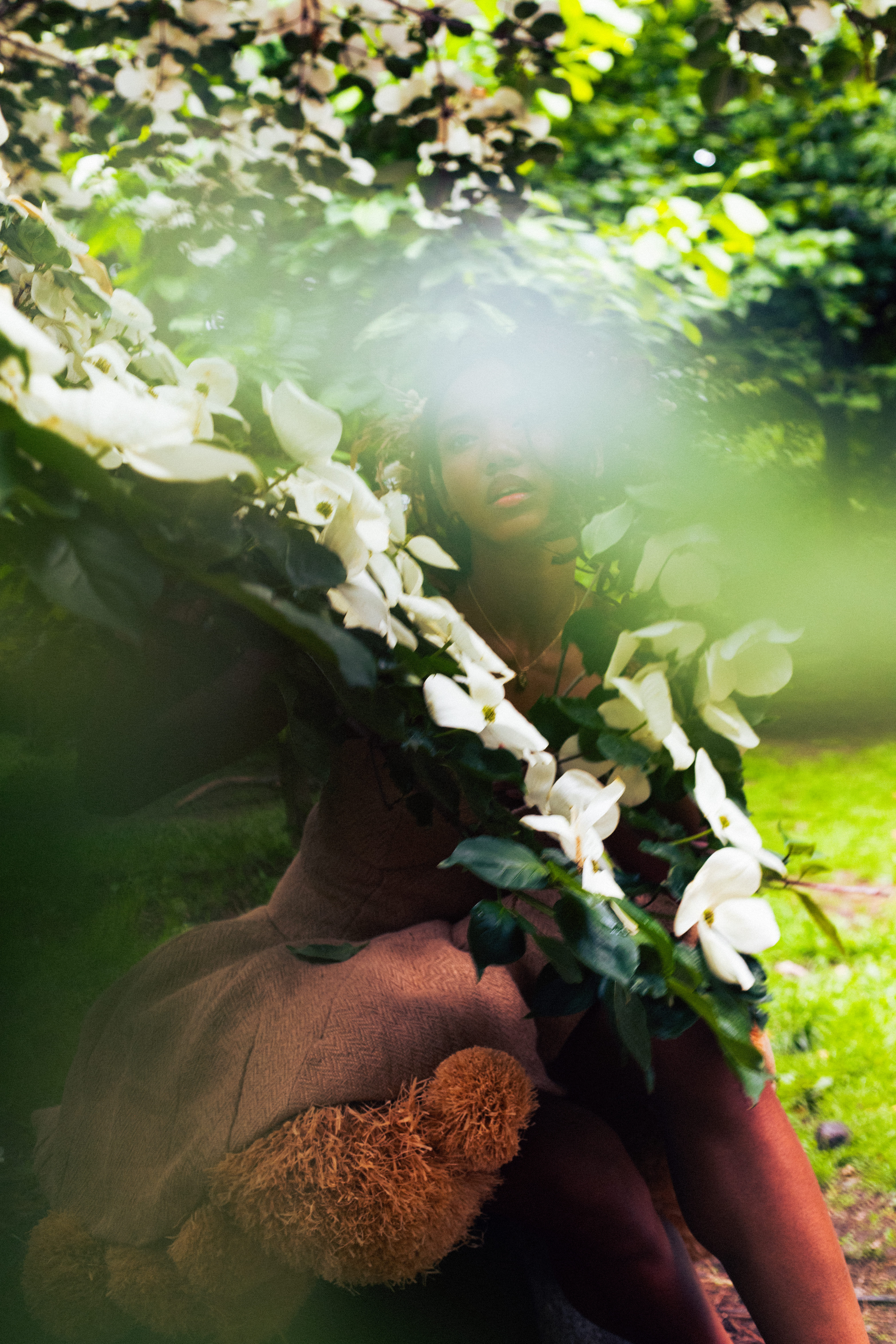 Photograph by Kimani Worghs — Renewal, 2025